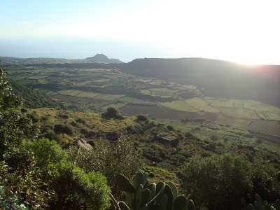 Monastero: vista terrazzamento dall'alto