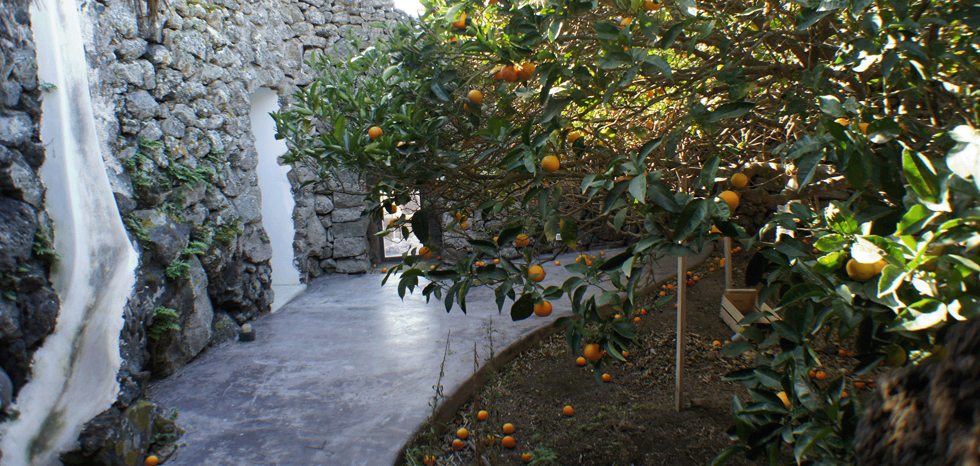 Esperienza dammusi a Pantelleria