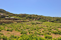 Paesaggio contrada Dakalè