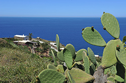 Chiesetta San Vincenzo